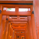 手打ち蕎麦・鮨 いまふく - その他　晩秋の伏見稲荷2