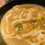 Udon Ryouri Sen - 