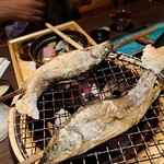 春蘭の宿 さかえや - 