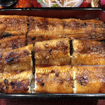 Unagi No Wakabayashi - 