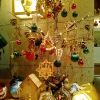 鉄板焼 しろや 銀座亭 - 