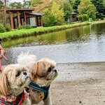 イタリア料理 ルッチコーレ - 