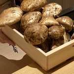 橦木町 しみず - 本日の食材