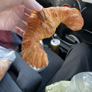 ヴィエノワズリ ベル コーチ_0