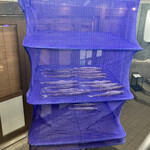 すし酒場 魚あるき - お店の軒先にししゃもが干されています。自動車は通っておらず排ガスないのでご安心ください…