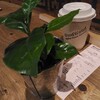 WoodWood Stand Cafe