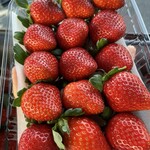 姫路ハートフル観光農園 - 