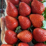 姫路ハートフル観光農園 - 