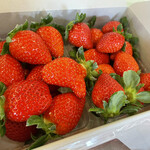 姫路ハートフル観光農園 - 