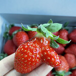 姫路ハートフル観光農園 - 