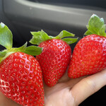 姫路ハートフル観光農園 - 