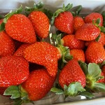 姫路ハートフル観光農園 - 