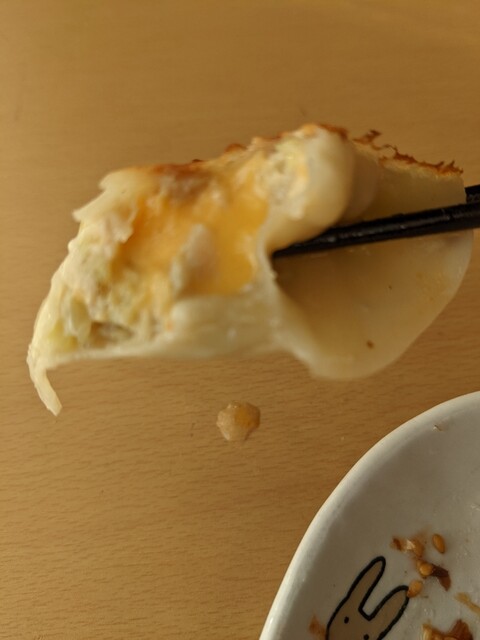 ぎょうざの宝永 苫小牧工場直営店 - 錦岡（餃子）の写真