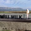miu milk