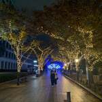 寿し おおはた - 