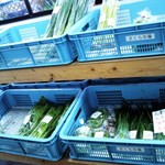 農産物直売所さくら市場 - 新鮮なお野菜など