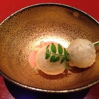 天空の庭　星のなる木 - 
