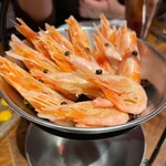 Shrimp Garden - 