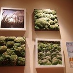 ユデロ 191フロム アル・ケッチァーノ - 