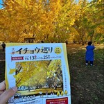 ひろちゃんラーメン - 太原イチョウ巡り