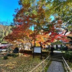 ひろちゃんラーメン - 清水寺本坊庭園