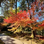 ひろちゃんラーメン - 清水寺本坊庭園