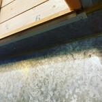 トウキョウサンフラワーイイダバシ - 