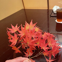 本湖月 -  本湖月 -