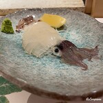 和海味處 Fuurin - 活けの槍烏賊の造り