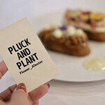 PLUCK AND PLANT - 