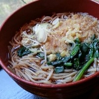 麓屋 京王プラザホテル - セットについてるそば（温）