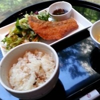 麓屋 京王プラザホテル - プレートランチさかな　サーモンのフライ