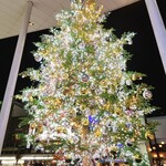 Bistro Oriental - 金沢の街にあったクリスマスツリー
      ※お店の内容とは関係ありません。