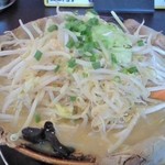 麺屋ばやし - 味噌らーめん(780円)＋大盛り(10円)