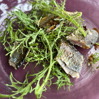 TROIS CUIT ASANUMA - 