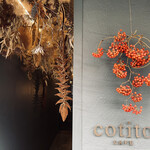 Cotito - 