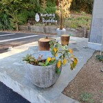 Warung Buddha - Warung Buddha 