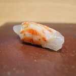 すし処 ひさ田 - レアな感じを残して車えび。