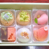 銘菓創庵　新月 - 季節菓子詰合せ6個入り