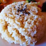 ランチプレートの玄米
