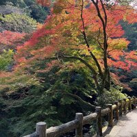 明治の森箕面 音羽山荘 - 
