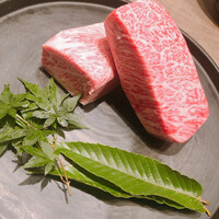 USHIGORO S. NISHIAZABU - 