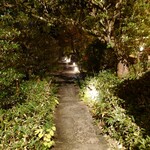 洋食 つばき - アプローチ