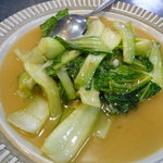 Kyuusai kou - 青菜