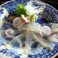 京都 吉兆 嵐山本店 - 造里　汐吹　甘手鰈薄作り 