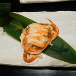 旬魚旬菜まるとび - 日本酒飲みたくなりません？( 〃▽〃)