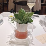 JINBO MINAMI AOYAMA - 