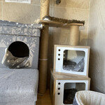 はまあかり潮音閣 - 玄関にキャットタワーやベッドが……