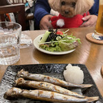 六軒村ばんごはん ここまろ - 