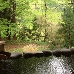 温泉民宿 いなりや - 源泉の露天　新緑がきれいで気持ち良い